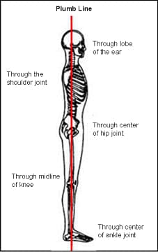 Ideal Posture Diagram